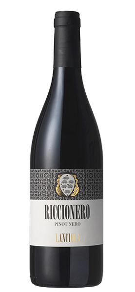 "Riccionero" Pinot Nero Toscana IGT 2021 von Lanciola