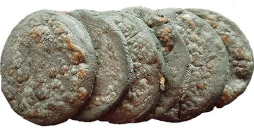 Laprove 3 x 500 g Blauer Mais versiegelt Hochvakuum Gorditas 1500 g vegan, ohne GVO, ohne Gluten, ohne Zusatzstoffe Laprove 3 x 500 g Blauer Mais versiegelt Hochvakuum Gorditas 1500 g vegan, ohne GVO, ohne Gluten, ohne Zusatzstoffe von LaProve
