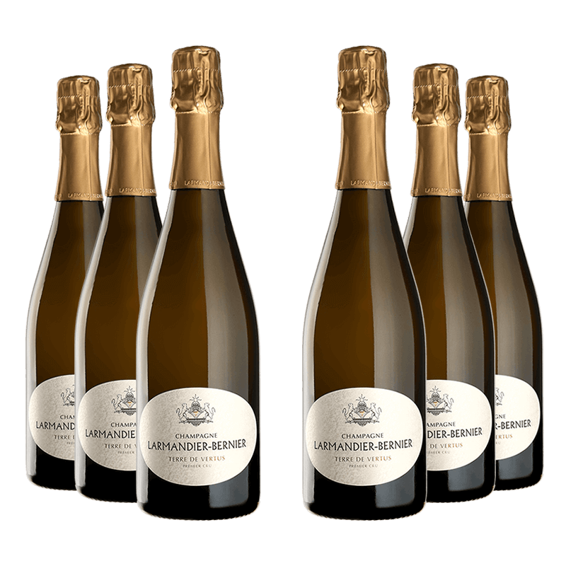 Larmandier-Bernier : Terre de Vertus Premier Cru Non Dosé Blanc de Blancs 2015 von Larmandier-Bernier