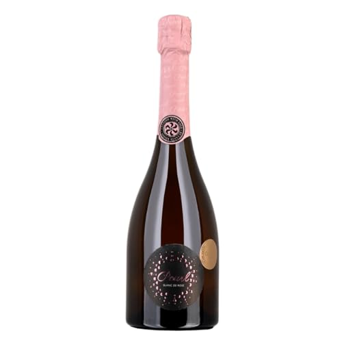 Blanc de Rosé 2021 von Lazar Winery - Trockener Rosé-Sekt aus Mazedonien mit Chardonnay und Pinot Noir, 11% Vol., Ideal als Aperitif, 750ml von Lazar Winery