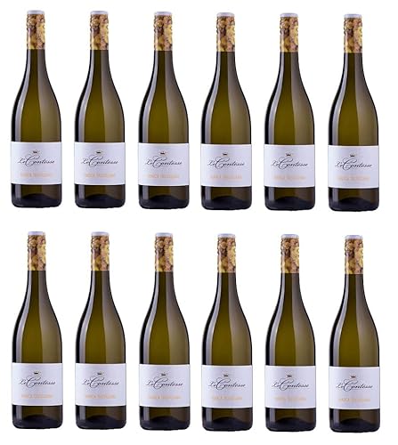 12x 0,75l - Le Contesse - Bianco Frizzante - Marca Trevigiana I.G.P. - Veneto - Italien - Perlwein trocken von Le Contesse