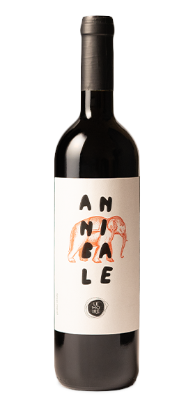 "Annibale" Calabria IGT 2020 von Le Moire