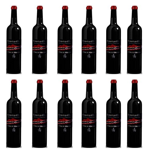 wein Montepulciano"Le Terre del Normanno" IGP - Box 12 Stück wein Montepulciano"Le Terre del Normanno" IGP - Box 12 Stück von Le Terre del Normanno