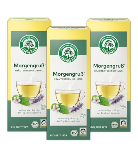 LEBENSBAUM 3 x Morgengruß, Bio Kräutertee, kräftige Kräuterteemischung mit Fenchel, Pfefferminze & Ysop, vegan, 3 x 20 Teebeutel à 1,5 g von Lebensbaum