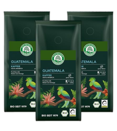 LEBENSBAUM Bio 3 x Guatemala Kaffee ganze Bohne, Bio Röstkaffee aus 100% Arabica-Bohnen, mild-kräftiger Geschmack, 3er Set, 3 x 250 g von Lebensbaum