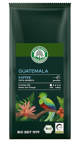 LEBENSBAUM Bio Guatemala Kaffee gemahlen, Bio Röstkaffee aus 100% Arabica-Bohnen, mild-kräftiger Geschmack, 250 g von Lebensbaum