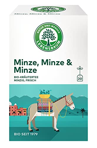 Lebensbaum Minze, Minze & Minze, Bio-Kräutertee, frische Kräuterteemischung mit Nanaminze & Apfelminze, vegan, 3er Pack, 3 x 20 Teebeutel (3 x 30g) von Lebensbaum