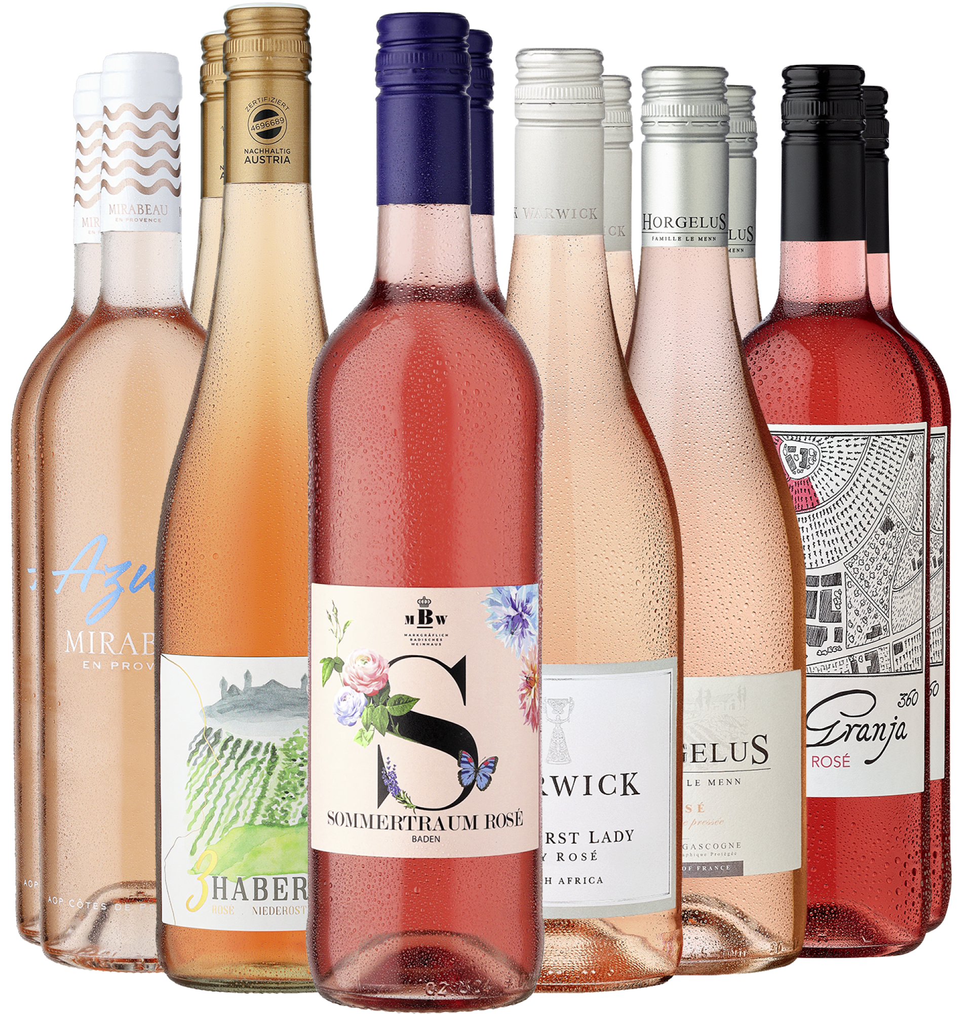 12er-Probierpaket »Ein Traum in Rosé« 12er-Probierpaket »Ein Traum in Rosé«