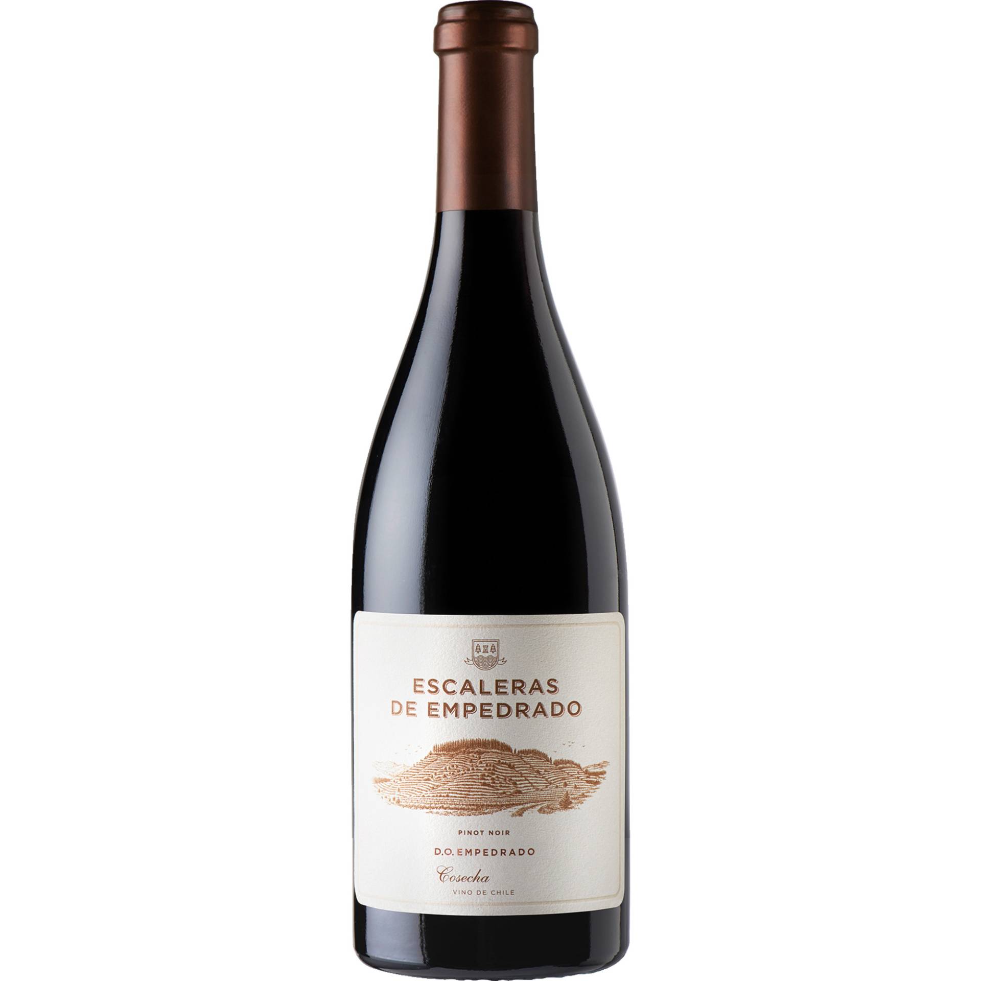 Escaleras de Empedrado Pinot Noir, Valle de Maule, Valle Central, 2014, Rotwein von "Wein Wolf Import GmbH",53227,Bonn,Deutschland