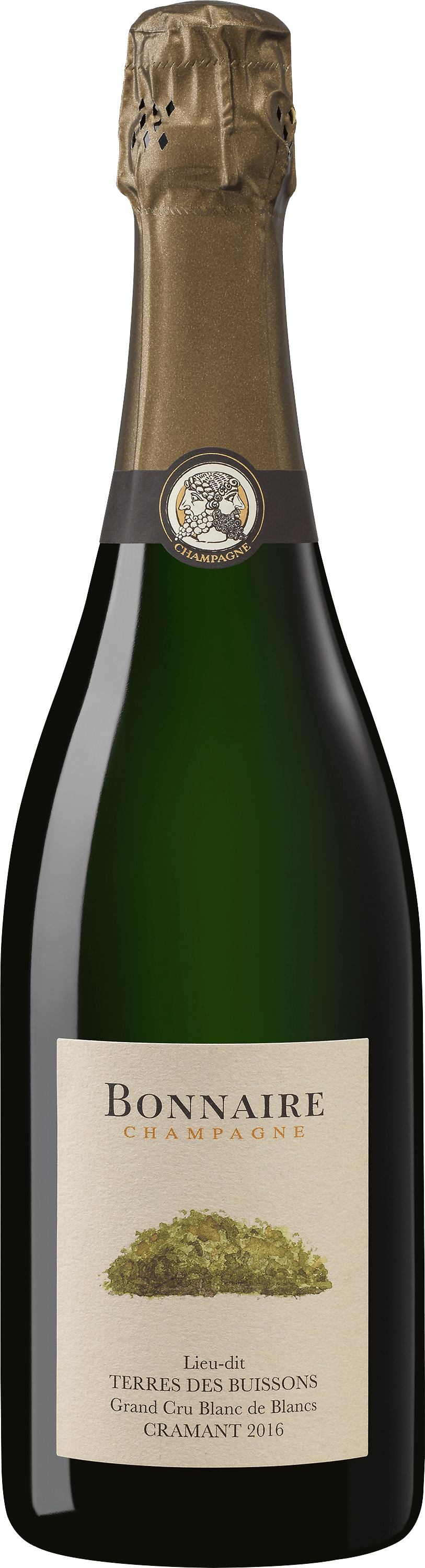 2016 Bonnaire Champagner »Terres des Buissons«