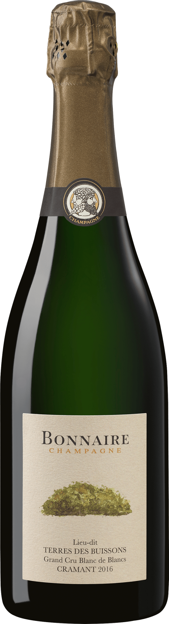 2016 Bonnaire Champagner »Terres des Buissons« 2016 Bonnaire Champagner »Terres des Buissons«