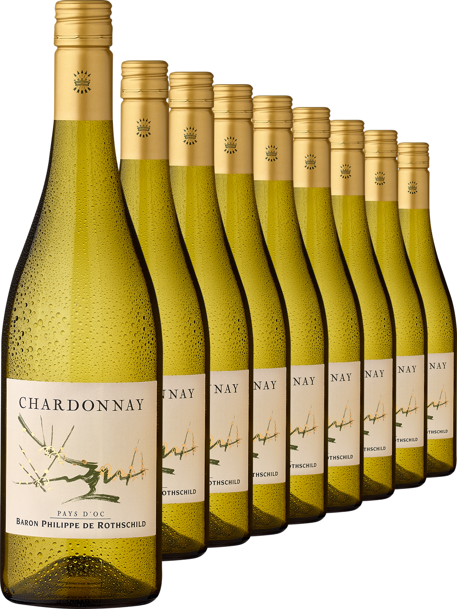 2023 Baron Philippe de Rothschild Chardonnay im 9er-Vorratspaket 2023 Baron Philippe de Rothschild Chardonnay im 9er-Vorratspaket