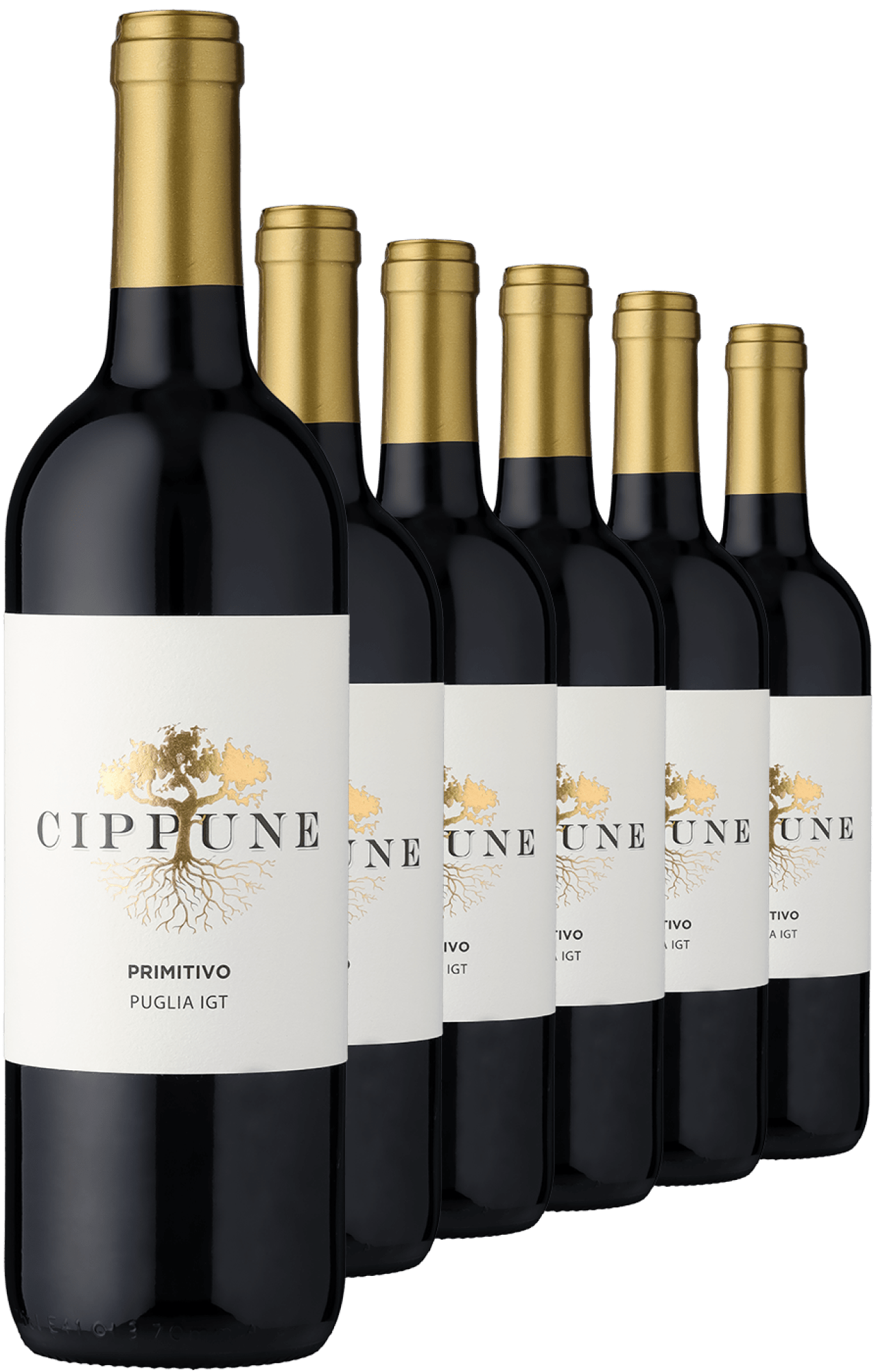 2024 Cippune Primitivo im 6er-Vorratspaket 2024 Cippune Primitivo im 6er-Vorratspaket