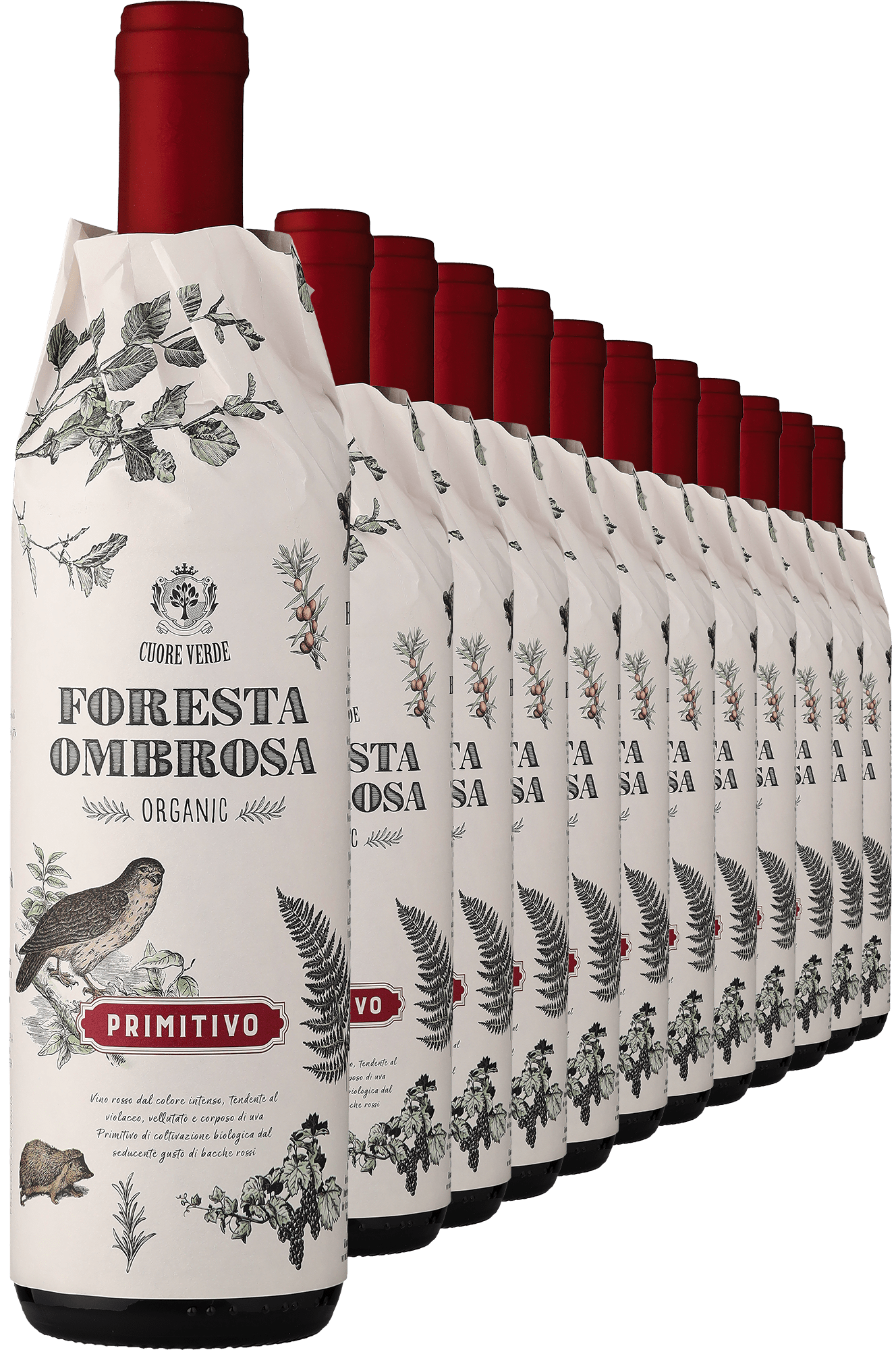 2024 Cuore Verde »Foresta Ombrosa« Primitivo – Bio im 12er-Vorratspaket
