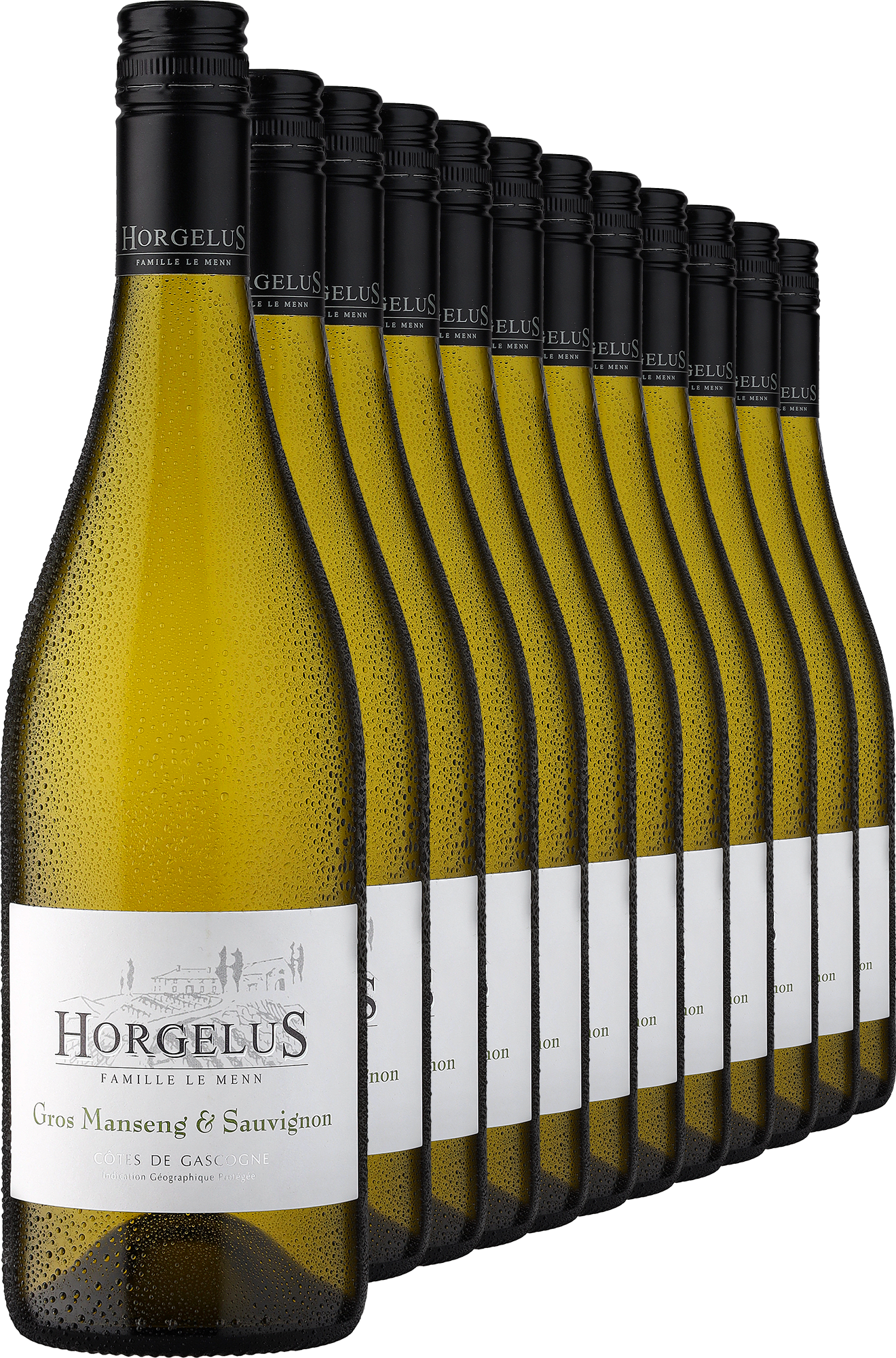2024 Horgelus Gros Manseng & Sauvignon im 12er-Vorratspaket