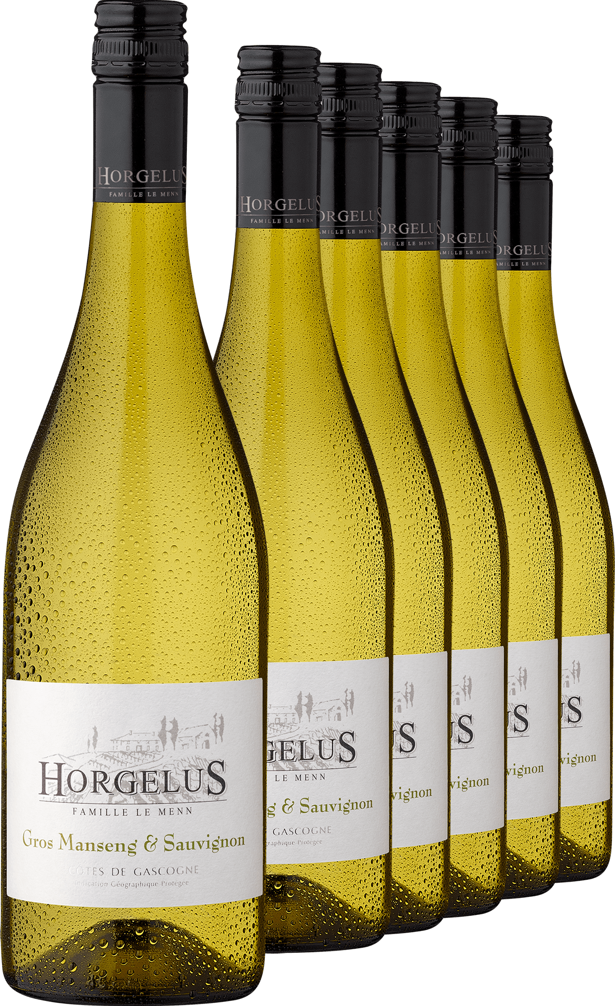 2024 Horgelus Gros Manseng & Sauvignon im 6er-Vorratspaket 2024 Horgelus Gros Manseng & Sauvignon im 6er-Vorratspaket