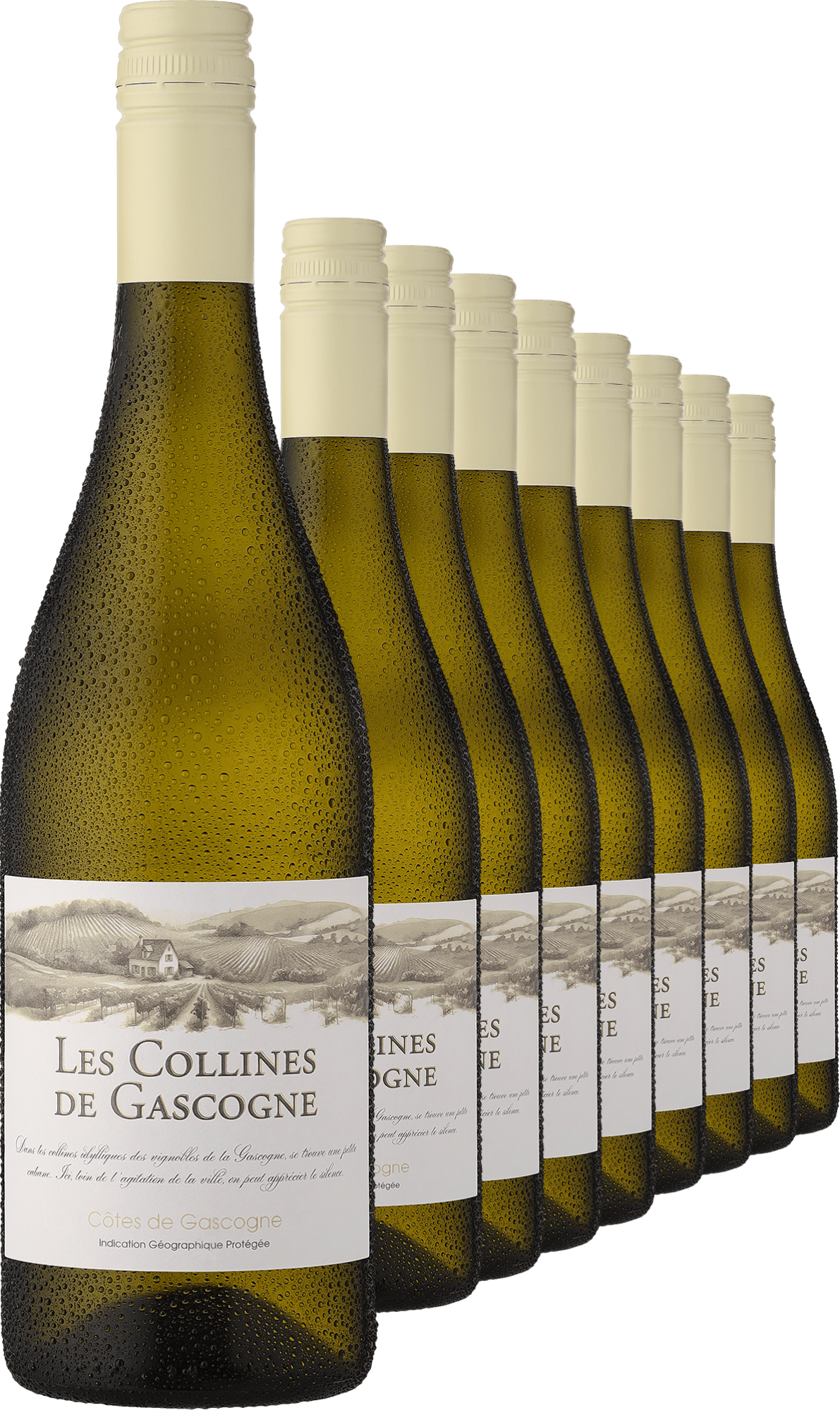 2023 »Les Collines de Gascogne« Blanc im 9er-Vorratspaket 2023 »Les Collines de Gascogne« Blanc im 9er-Vorratspaket