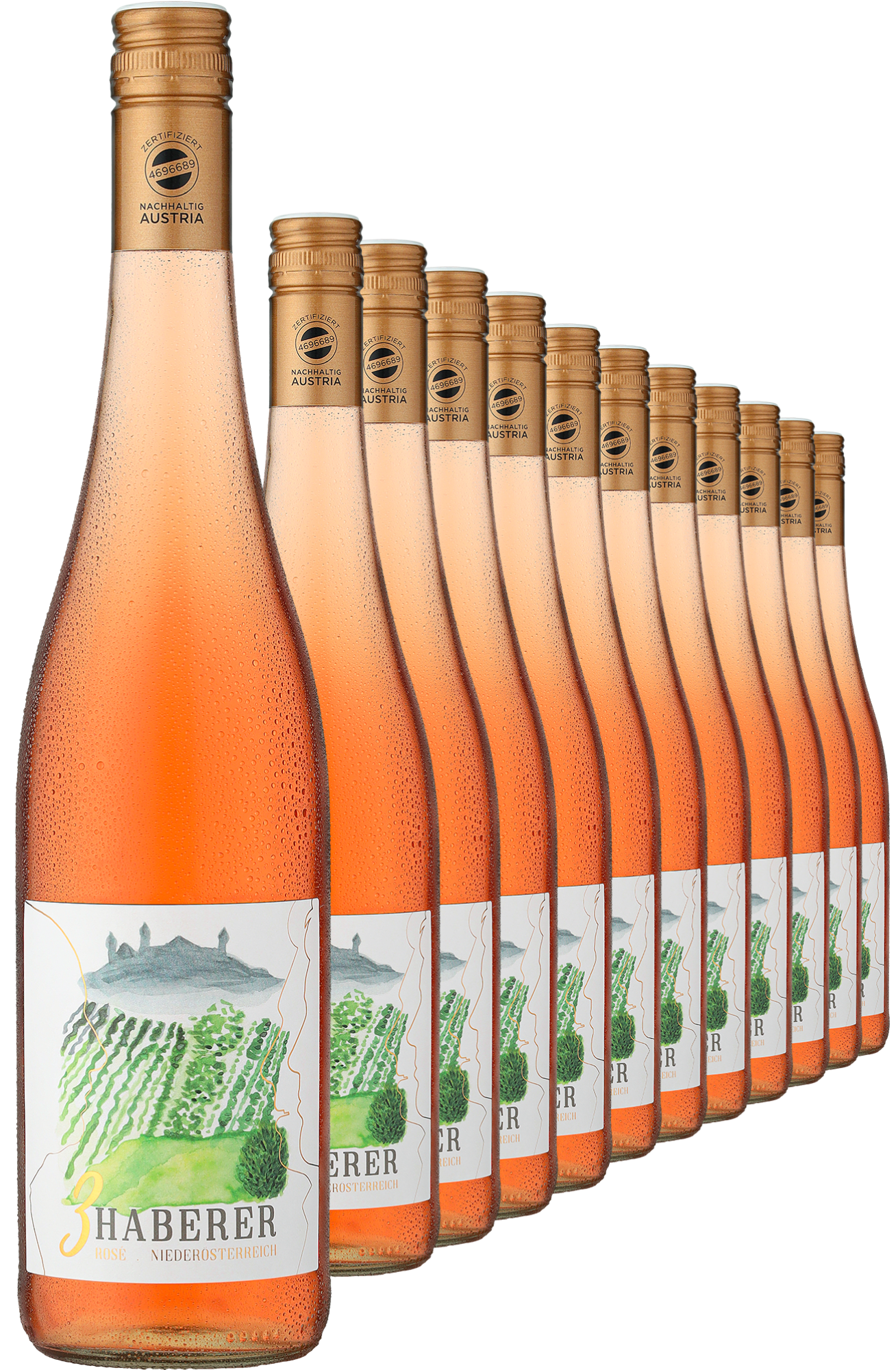 2023 Müller »3 Haberer« Rosé im 12er-Vorratspaket 2023 Müller »3 Haberer« Rosé im 12er-Vorratspaket