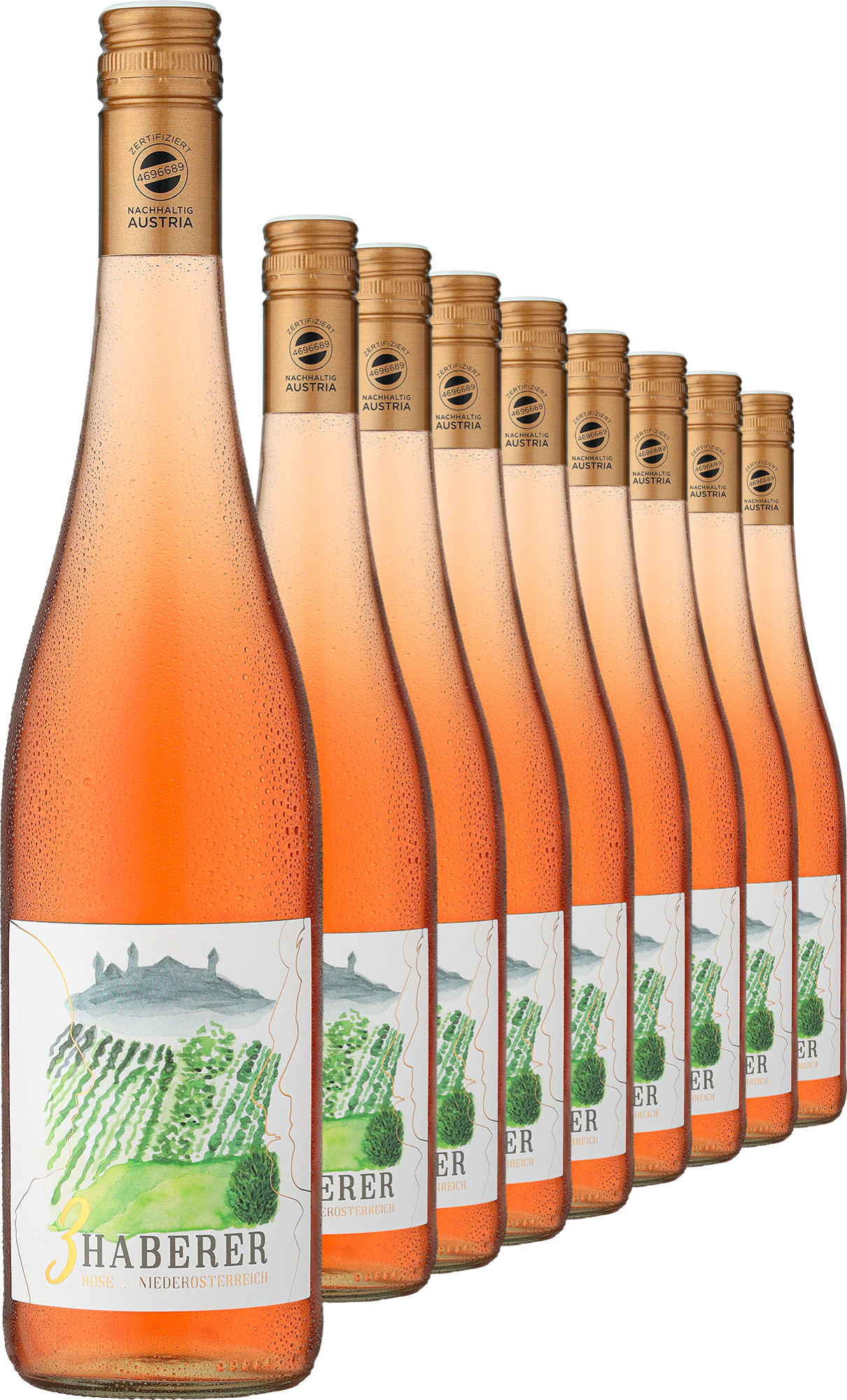2023 Müller »3 Haberer« Rosé im 9er-Vorratspaket 2023 Müller »3 Haberer« Rosé im 9er-Vorratspaket
