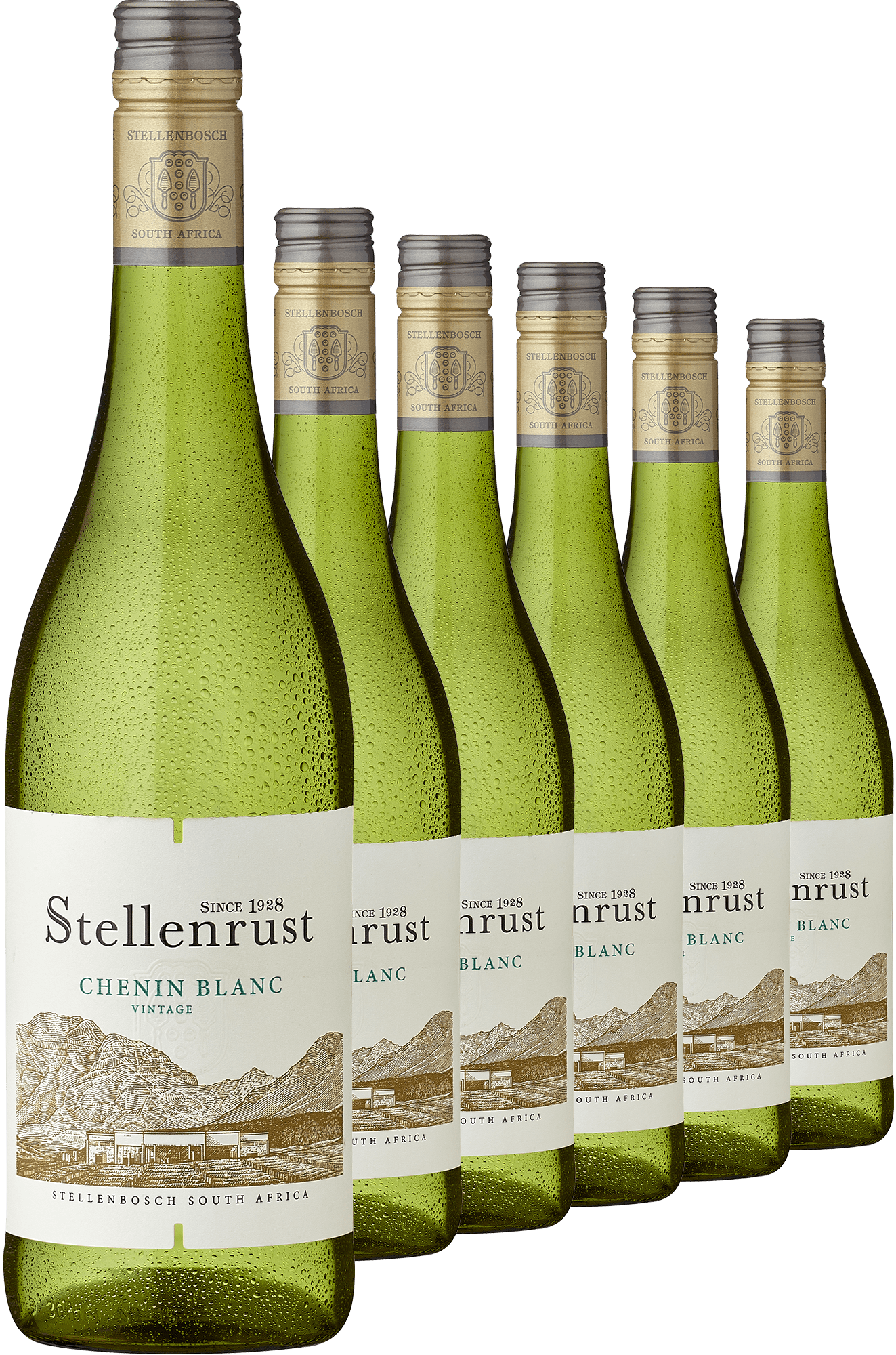 2023 Stellenrust Chenin Blanc im 6er-Vorratspaket 2023 Stellenrust Chenin Blanc im 6er-Vorratspaket