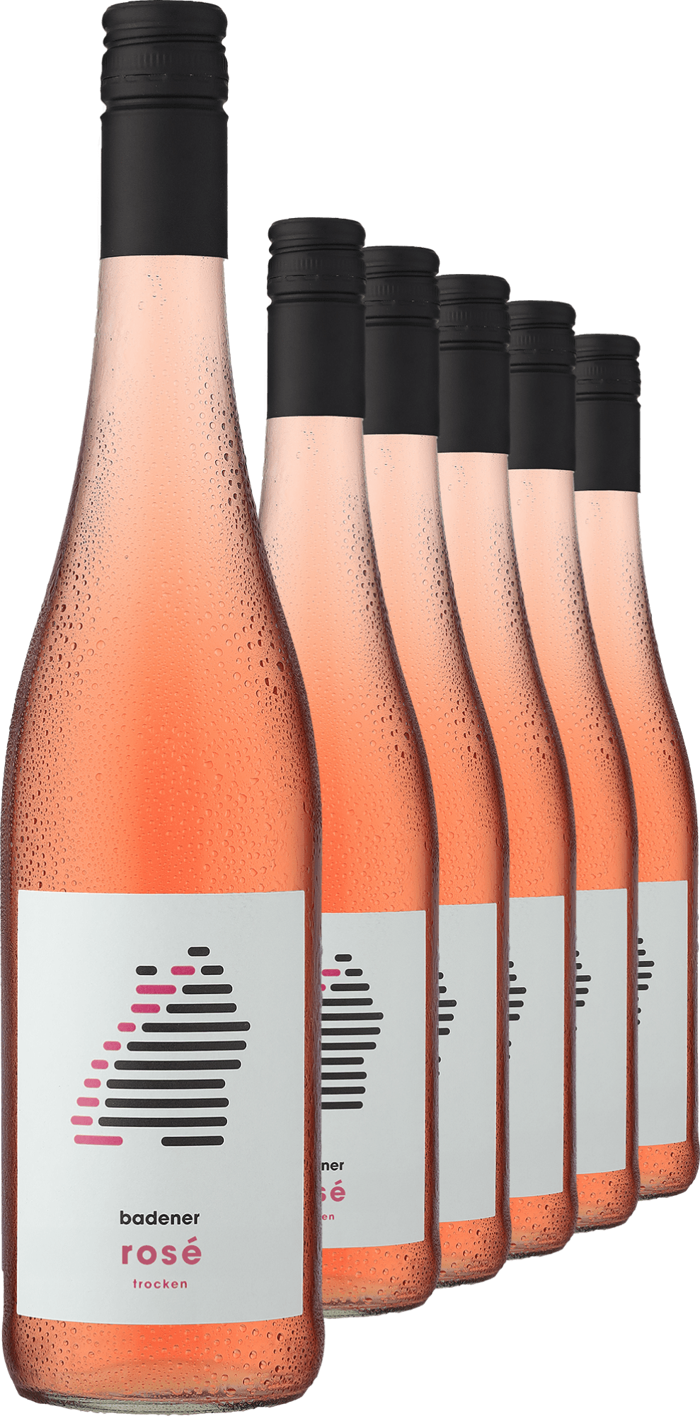 2024 badener Rosé im 6er-Vorratspaket 2024 badener Rosé im 6er-Vorratspaket