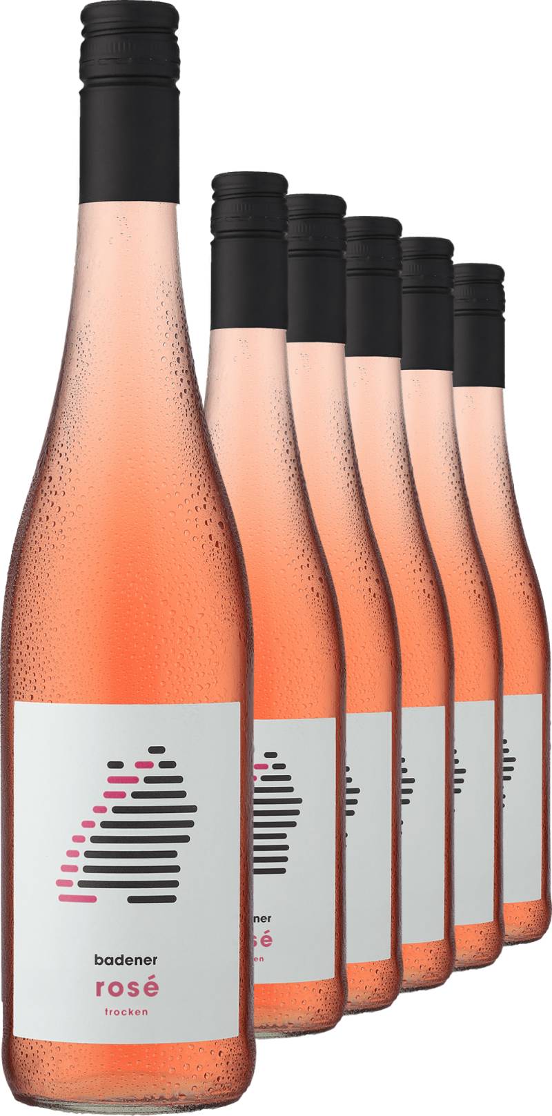 2024 badener Rosé im 6er-Vorratspaket