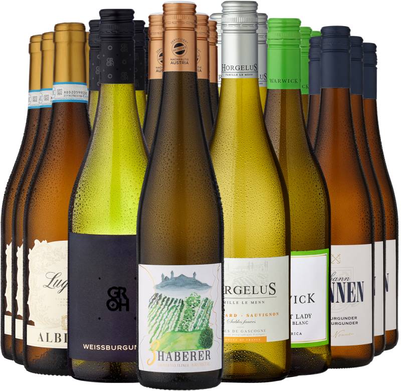 24er-Weinkellerpaket »Beste Weißweine für jeden Tag« von Eggers und Franke GmbH