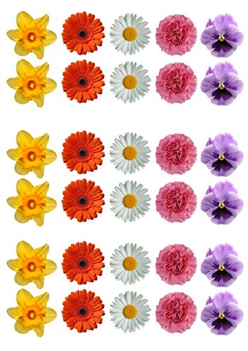 30 Gorgeous Mixed Spring Flower Selection Edible Wafer Paper Cake Toppers Decorations - Daffodil Daisy Gerbera Pansy by Top That von Top That