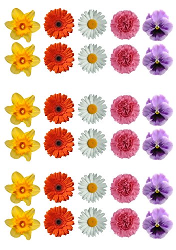 30 Gorgeous Mixed Spring Flower Selection Edible Wafer Paper Cake Toppers Decorations - Daffodil Daisy Gerbera Pansy by Top That 30 Gorgeous Mixed Spring Flower Selection Edible Wafer Paper Cake Toppers Decorations - Daffodil Daisy Gerbera Pansy by Top That von Top That