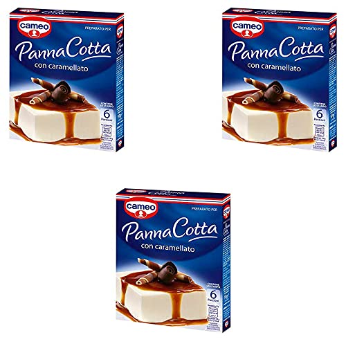 3x Cameo Panna Cotta mit Karamell istant cake 107g 6 portionen von Cameo