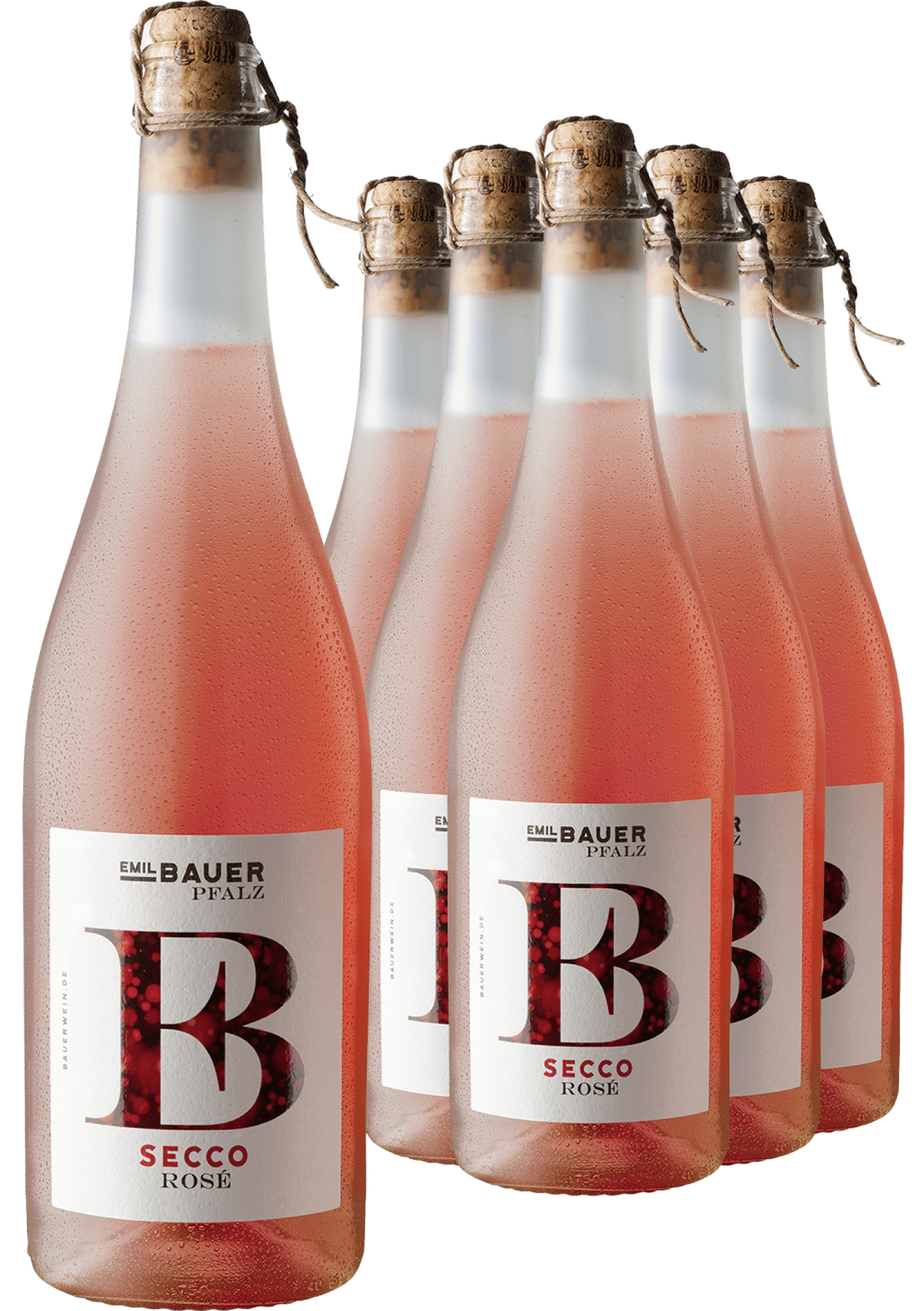 5+1-PAKET Emil Bauer Secco Rosé 5+1-PAKET Emil Bauer Secco Rosé