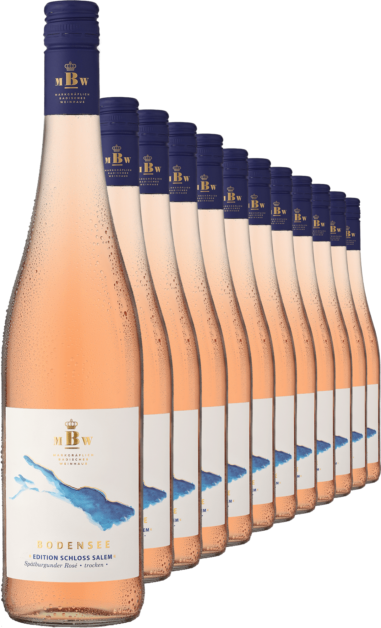6+6-PAKET Markgräflich Badisches Weinhaus Bodensee »Edition Schloss Salem« Rosé 2024