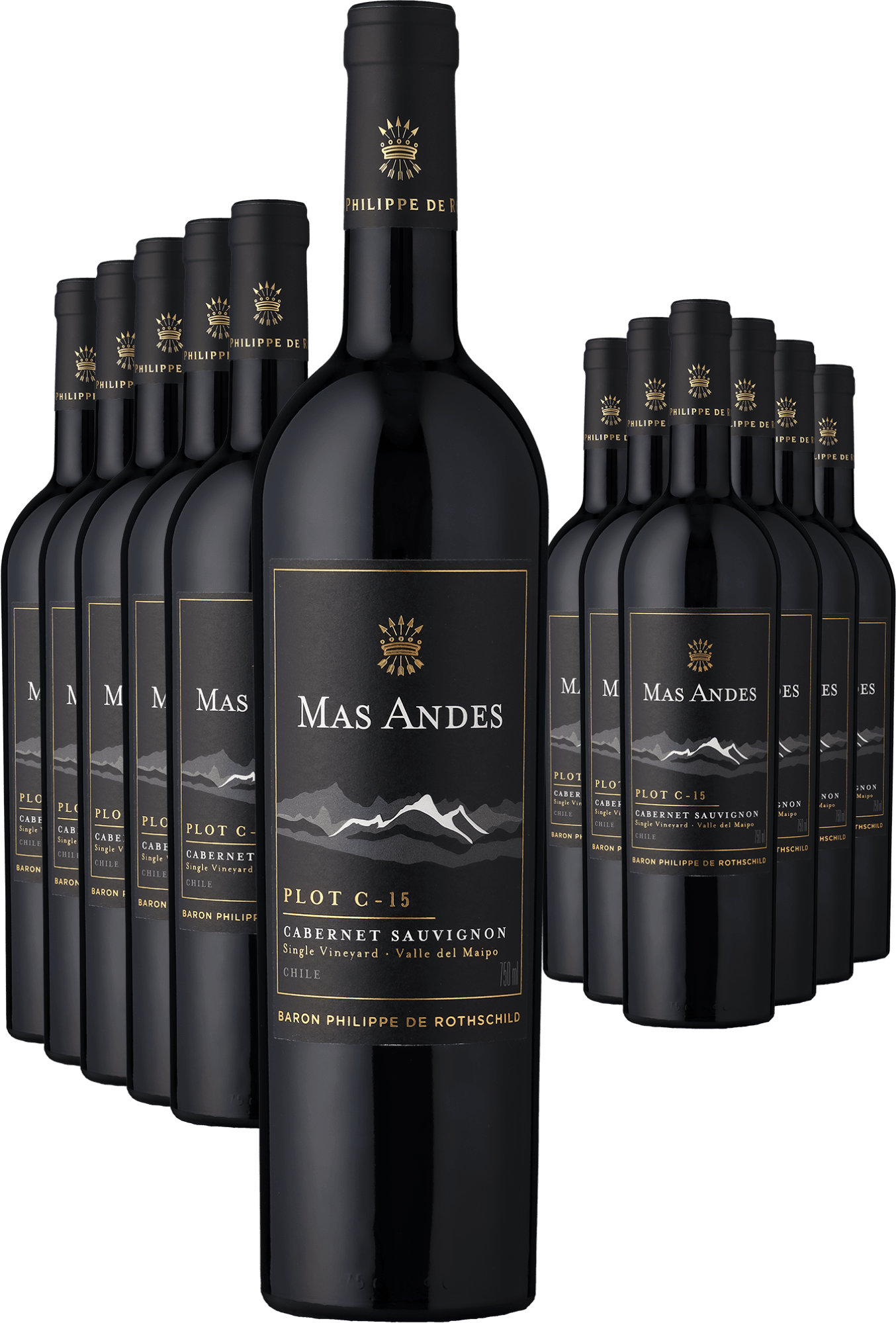 6+6-PAKET Rothschild Mas Andes PLOT C-15 Cabernet Sauvignon 2022 6+6-PAKET Rothschild Mas Andes PLOT C-15 Cabernet Sauvignon 2022
