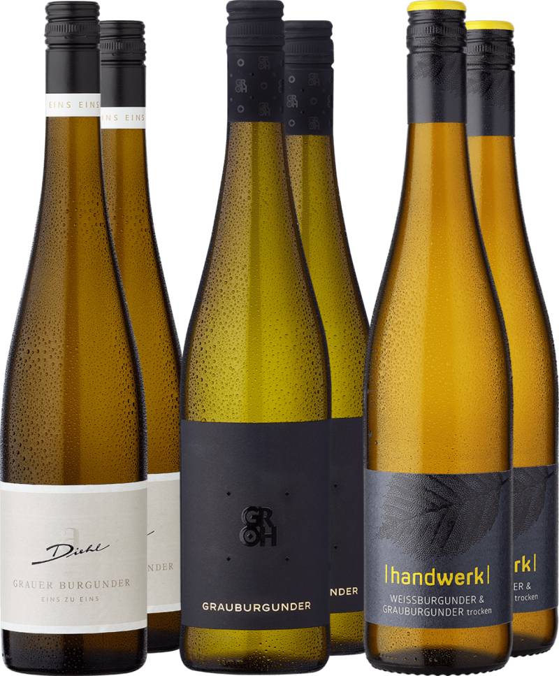 6er-Probierpaket »Best of Grauburgunder« von Ludwig von Kapff GmbH