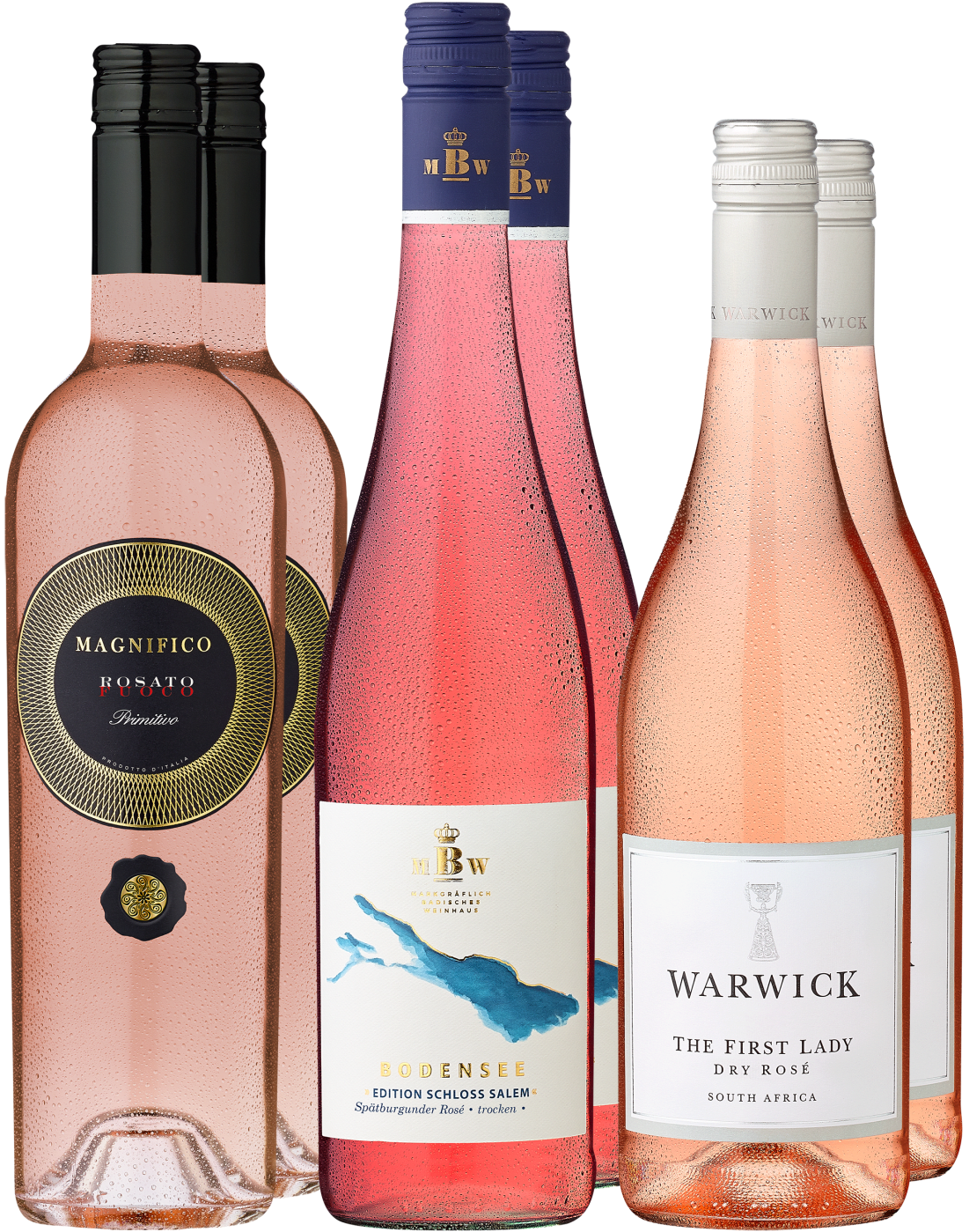 6er-Probierpaket »Die Welt in Rosé« 6er-Probierpaket »Die Welt in Rosé« von Ludwig von Kapff GmbH