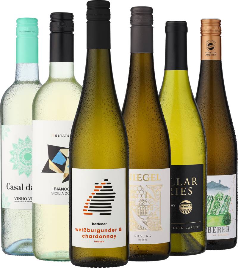 6er-Probierpaket »Picknick-Weine«
