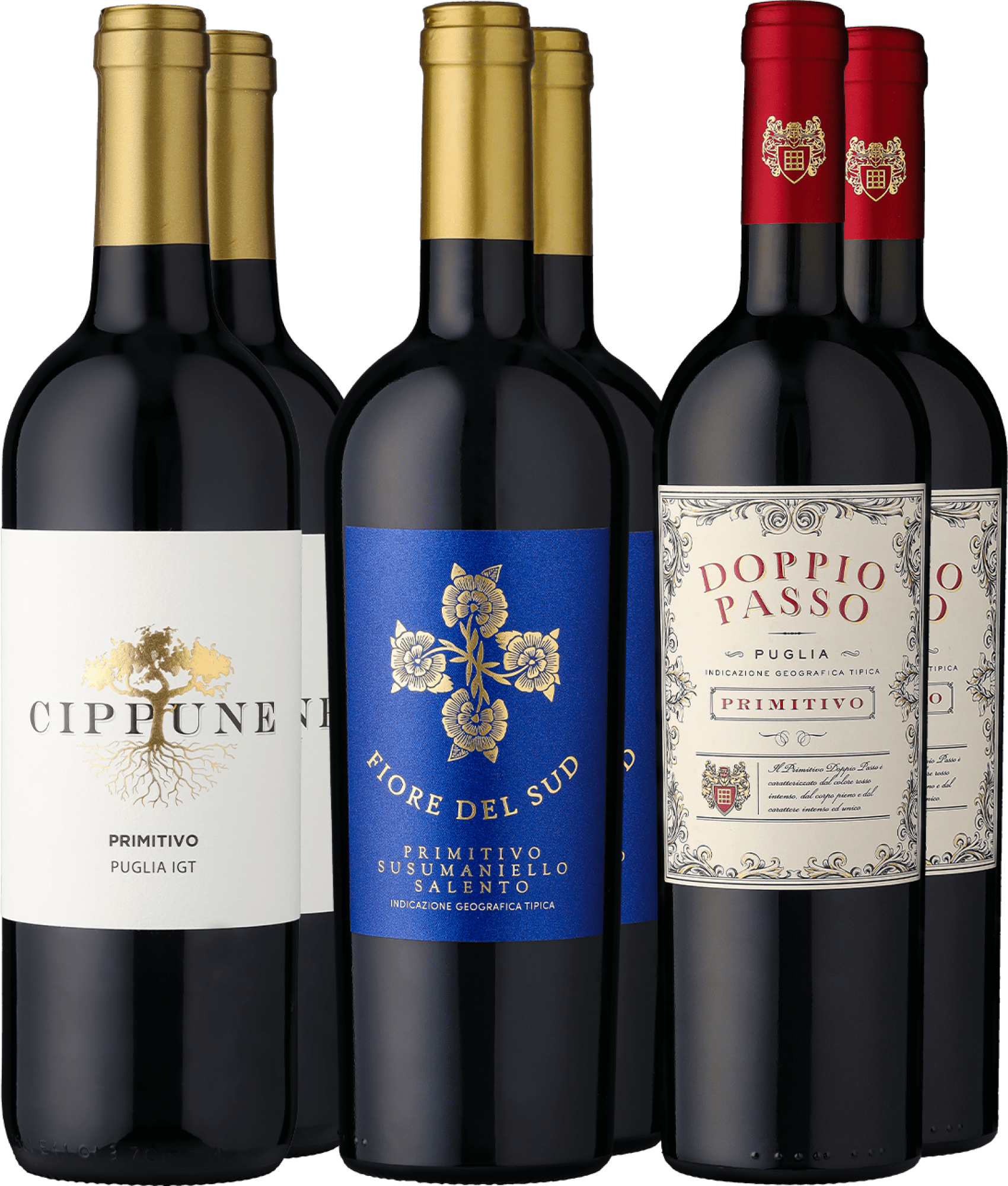 6er-Probierpaket »Primitivo-Power« 6er-Probierpaket »Primitivo-Power«
