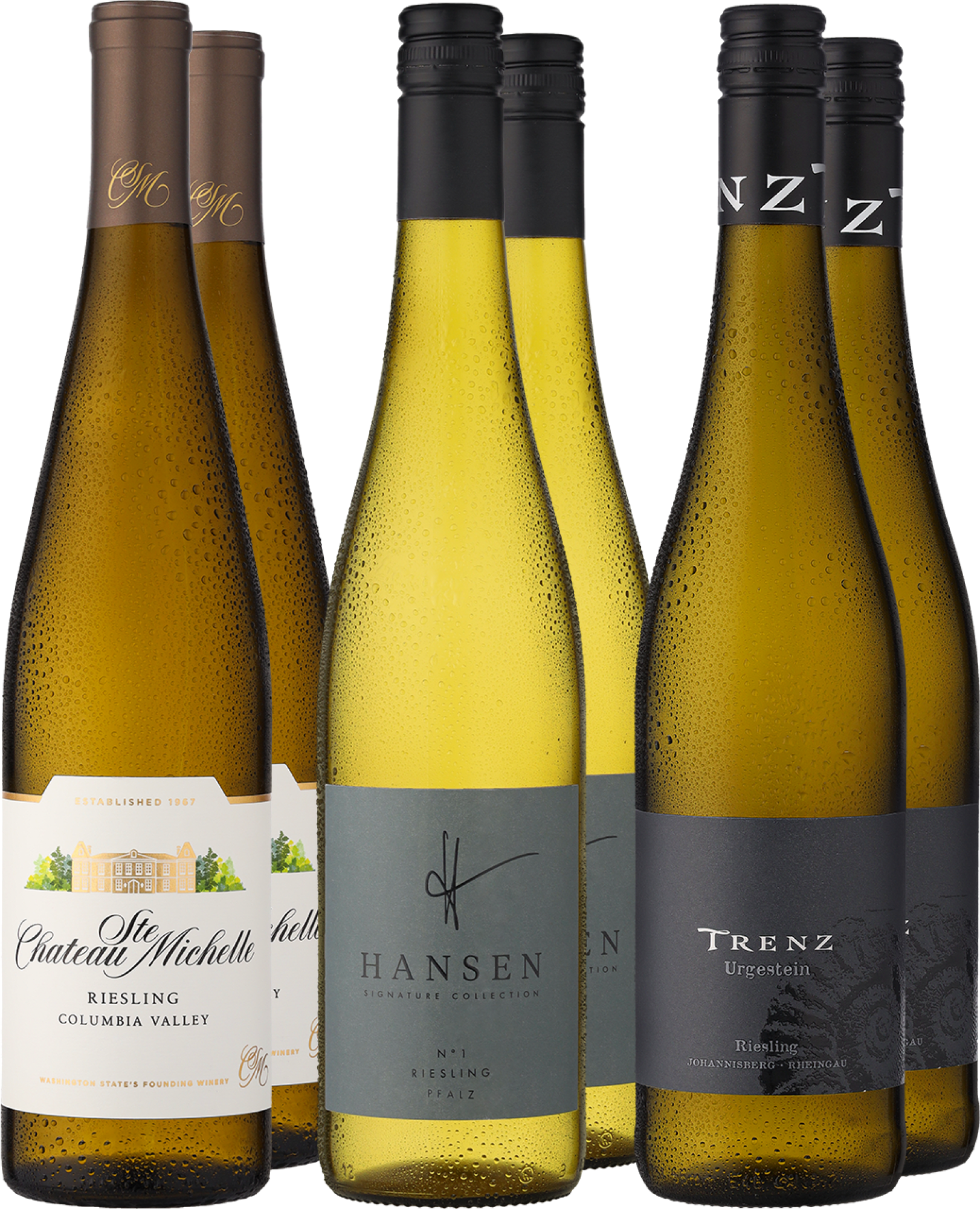 6er-Probierpaket »Riesling International« von Eggers & Franke GmbH