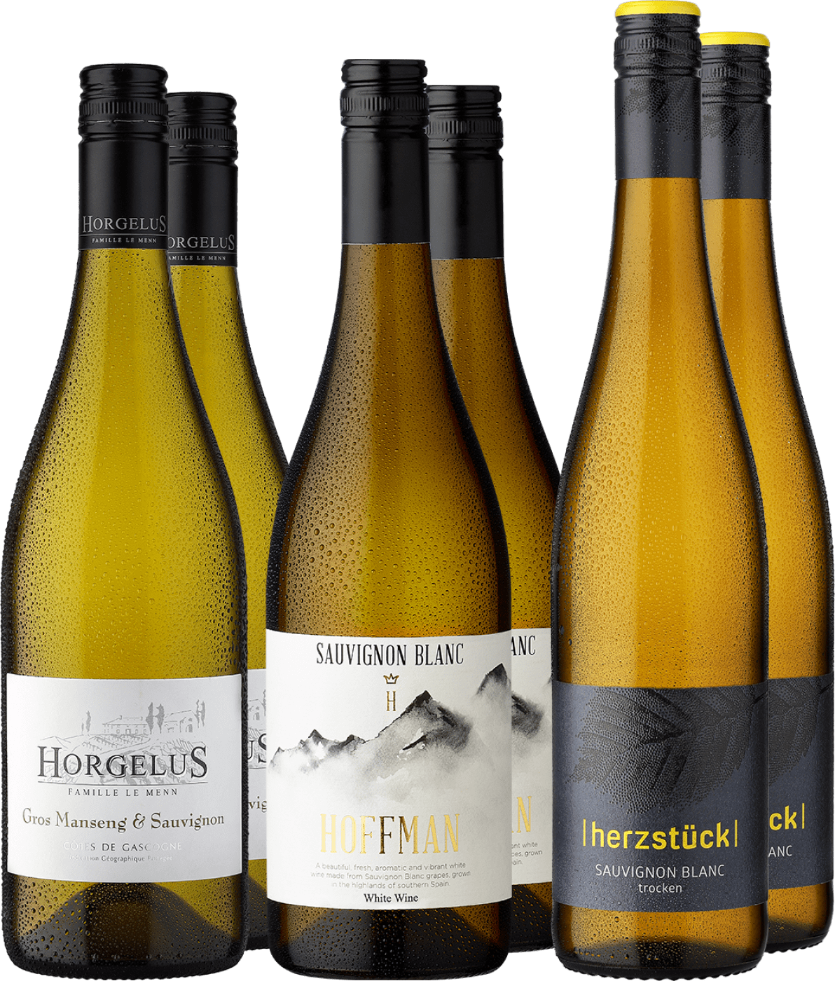 6er-Probierpaket »Sauvignon Siegerweine« 6er-Probierpaket »Sauvignon Siegerweine« von Eggers und Franke GmbH