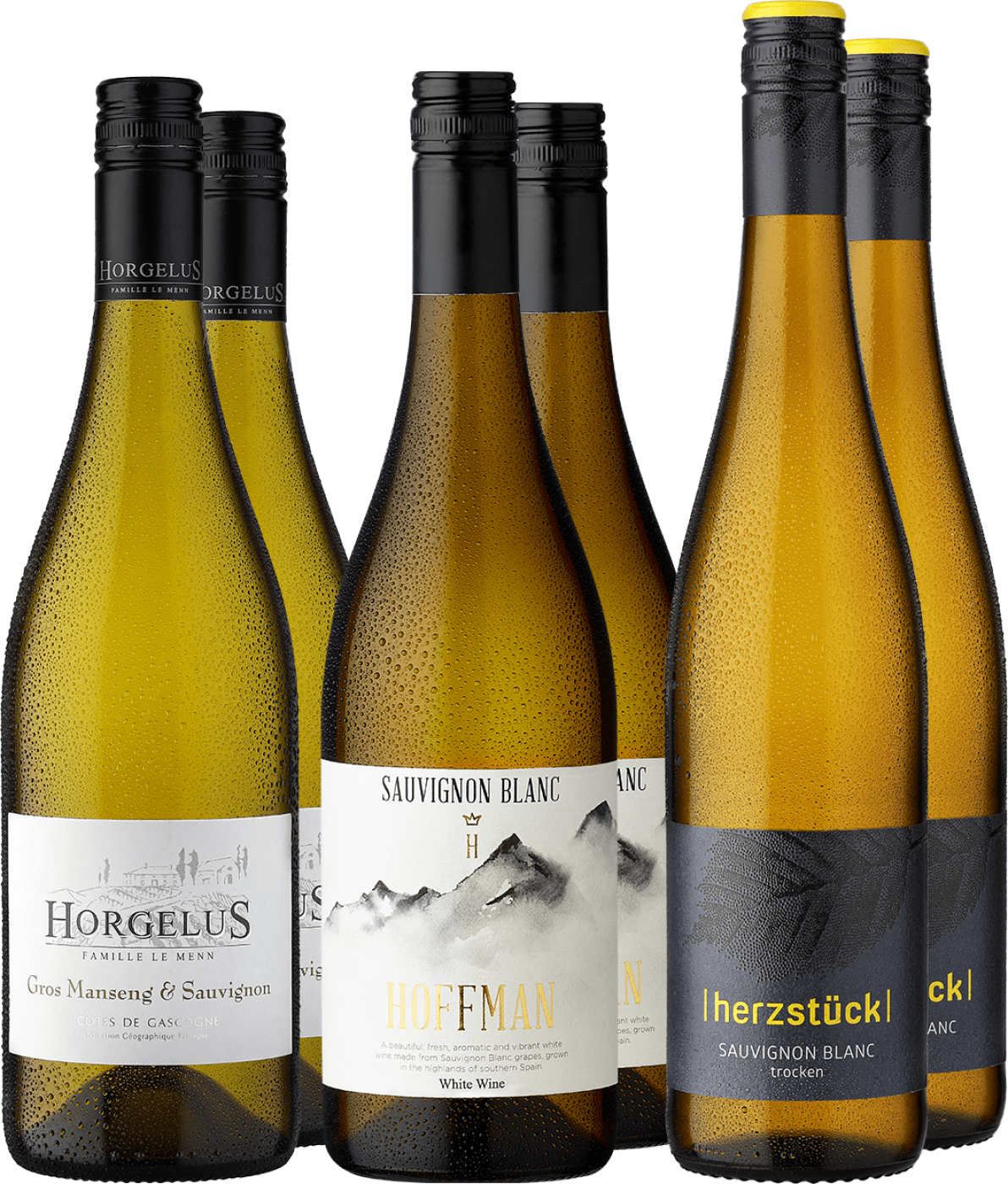 6er-Probierpaket »Sauvignon Siegerweine« von Eggers und Franke GmbH