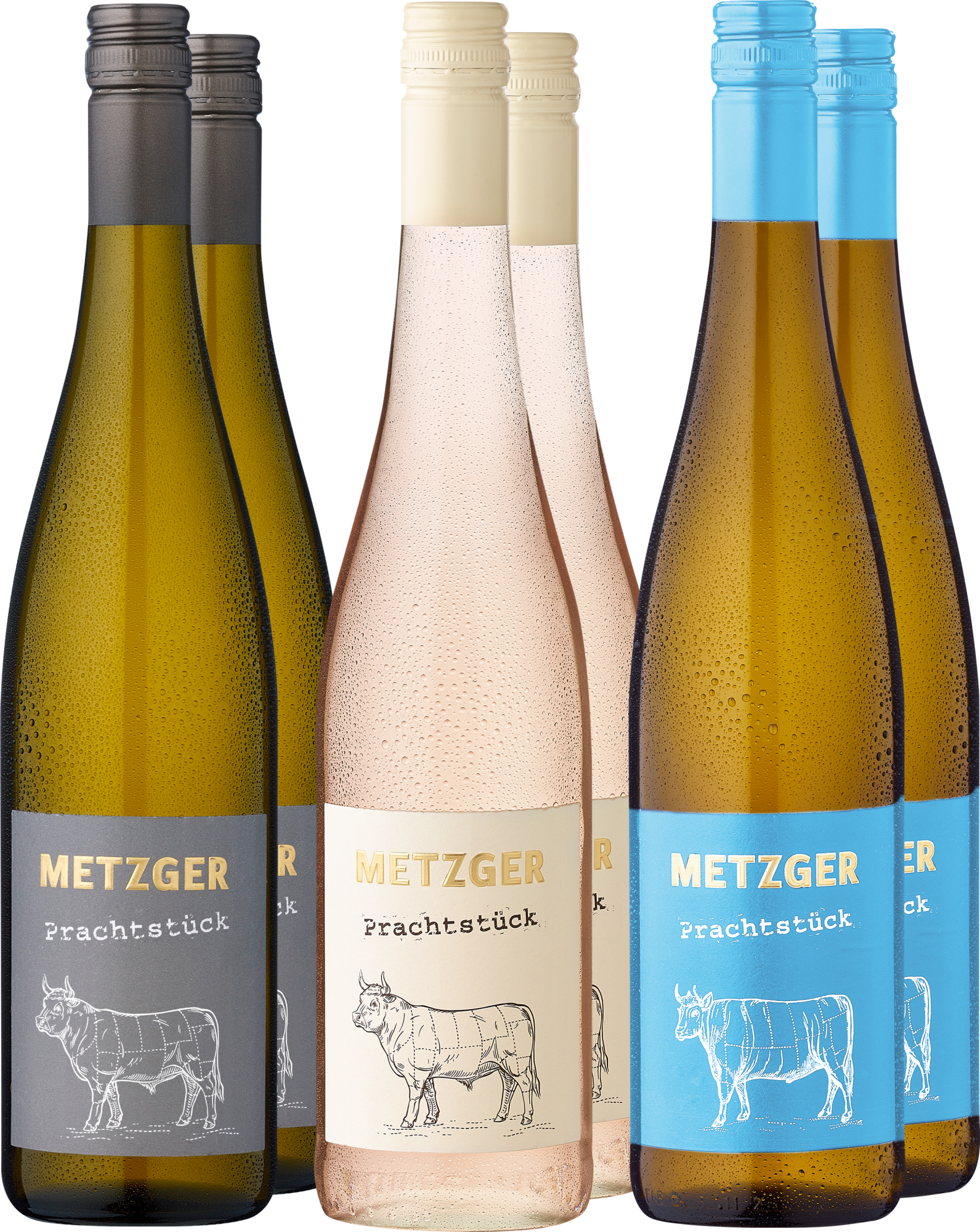 6er-Probierpaket »Weingut Metzger in Weiß« 6er-Probierpaket »Weingut Metzger in Weiß«