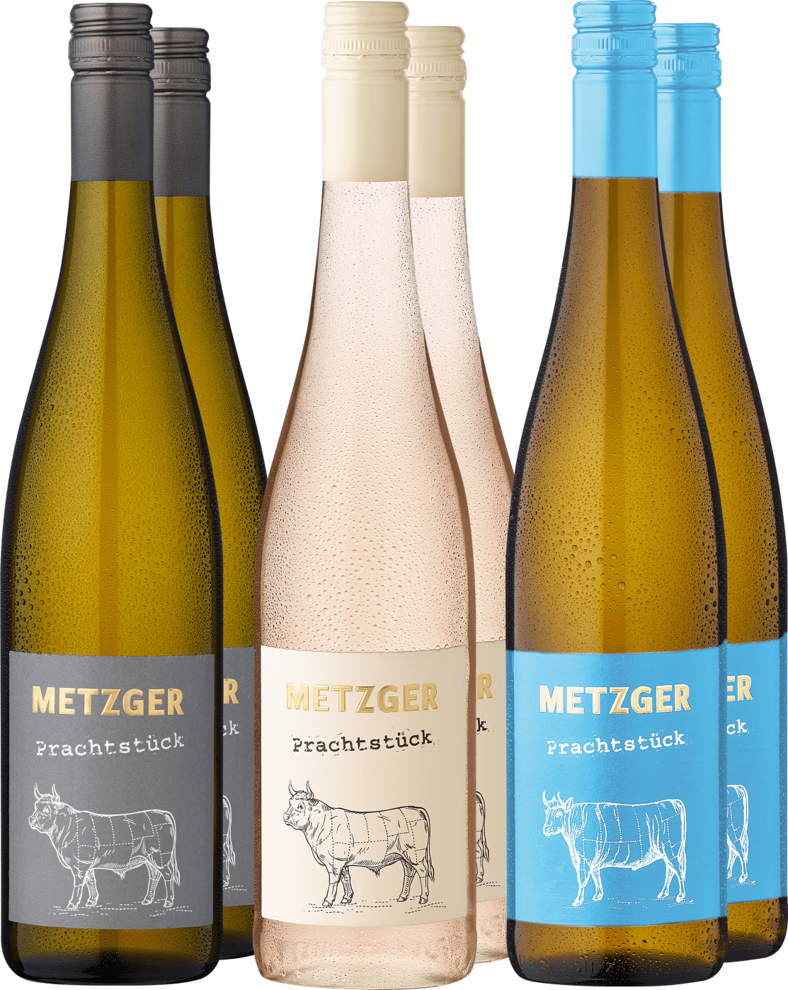 6er-Probierpaket »Weingut Metzger in Weiß« von Metzger