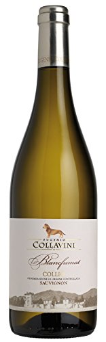 6x 0,75l - 2013er* - Eugenio Collavini - Blancfumat Sauvignon Blanc - Collio D.O.C. - Friaul - Italien - Weißwein trocken