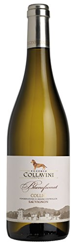 6x 0,75l - 2013er* - Eugenio Collavini - Blancfumat Sauvignon Blanc - Collio D.O.C. - Friaul - Italien - Weißwein trocken 6x 0,75l - 2013er* - Eugenio Collavini - Blancfumat Sauvignon Blanc - Collio D.O.C. - Friaul - Italien - Weißwein trocken