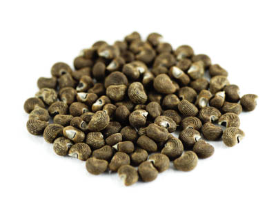 Abelmoschus, ganz 1kg