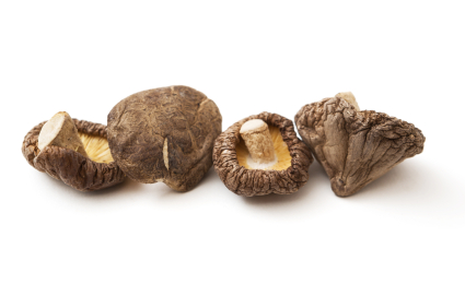 Agaricus BIO Pulver, 1kg Agaricus BIO Pulver, 1kg