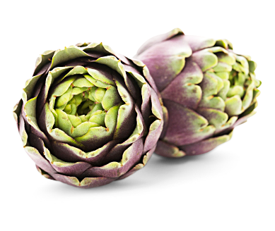 Artischocken Artischocken von Follina GmbH