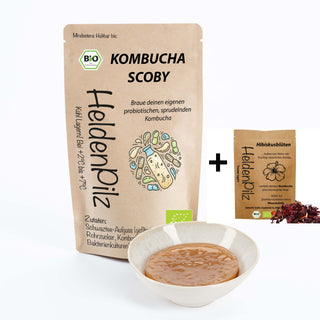 BIO | WACHSTUMSSTARKER KOMBUCHA TEEPILZ + Ansatzflüssigkeit SCOBY (Symbiose) zur Herst. von Getränken - Jun Champagner Pilz