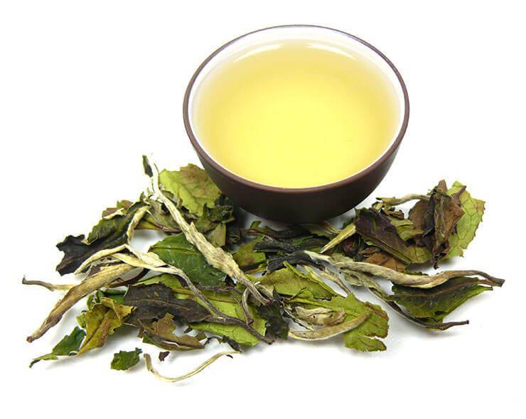 BIO Weißer Tee »Pai Mu Tan«