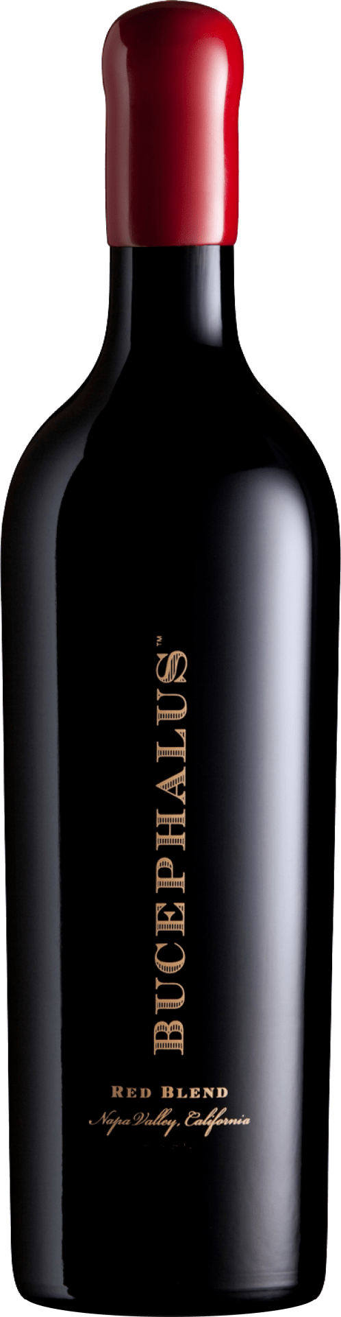 Black Stallion Bucephalus - 2018 Black Stallion Bucephalus - 2018
